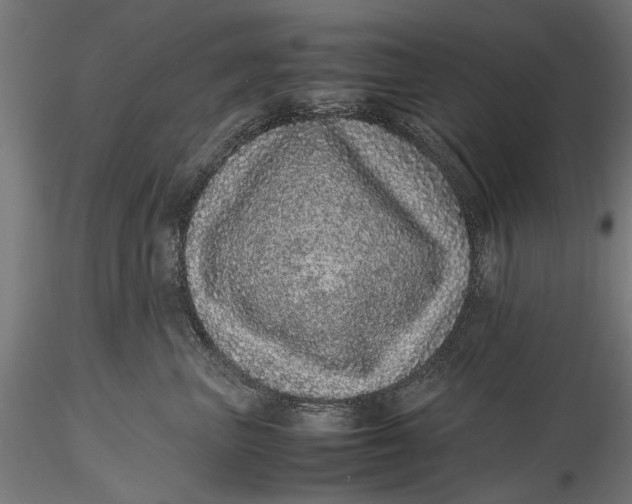 X0000116100667200912140958