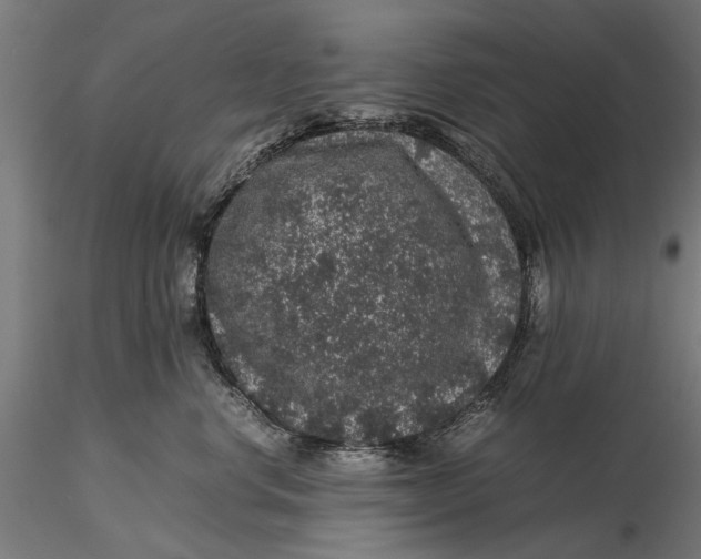 X0000116100668200912140958