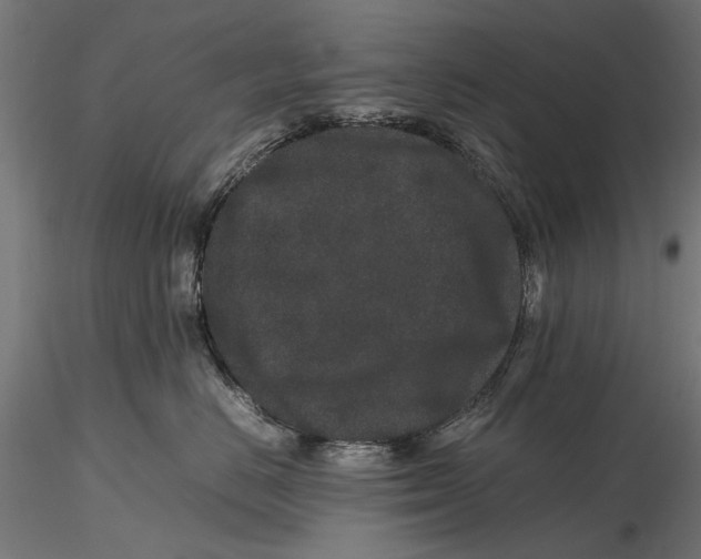 X0000116100670200912140958