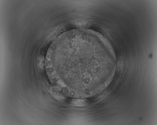 X0000116100671200912140958