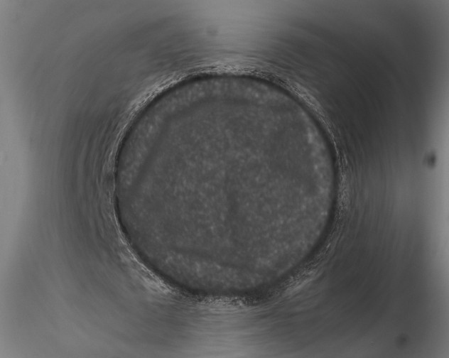 X0000116100673200912140957