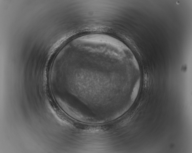 X0000116100674200912140957