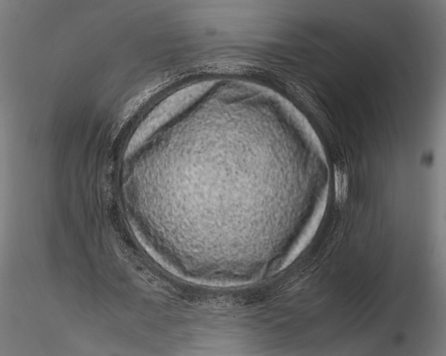 X0000116100675200912140957