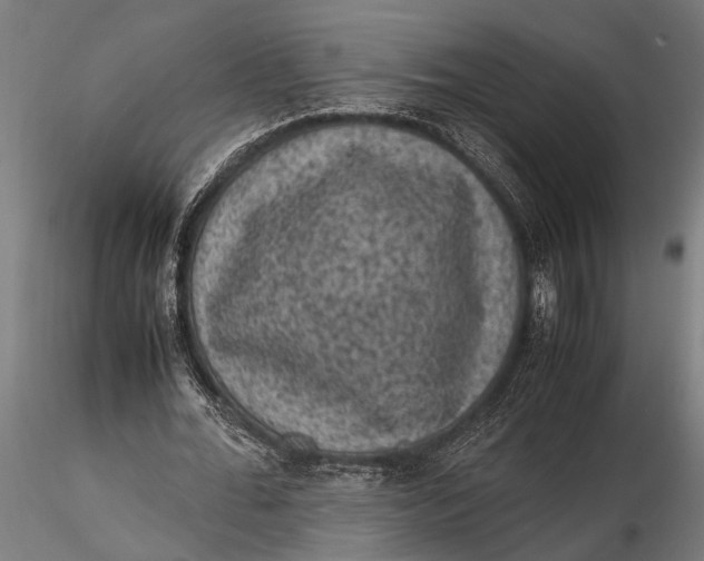 X0000116100676200912140957