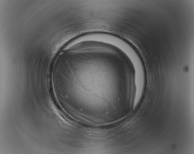 X0000116100677200912140957