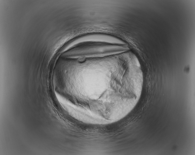 X0000116100679200912140957