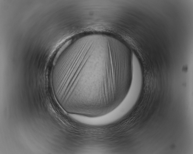 X0000116100680200912140957