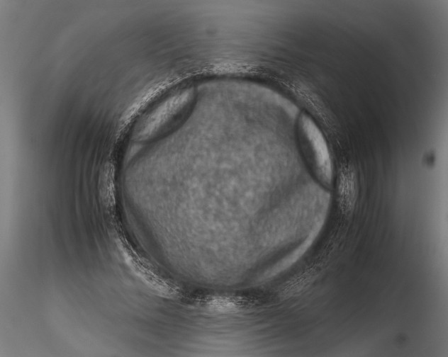 X0000116100684200912140957