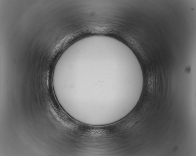 X0000116100686200912140957