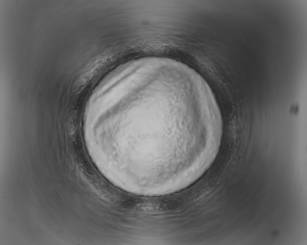 X0000116100687200912140957