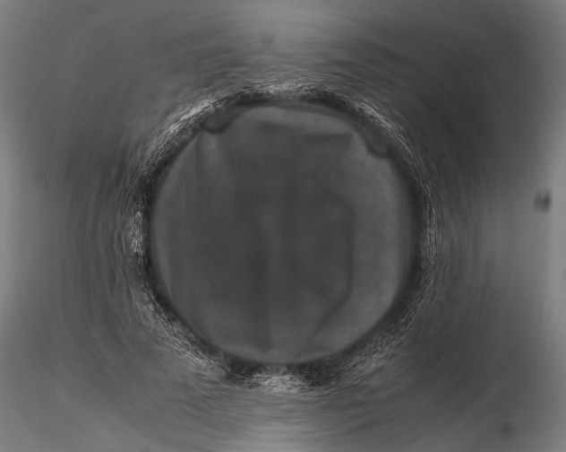 X0000116100689200912140957