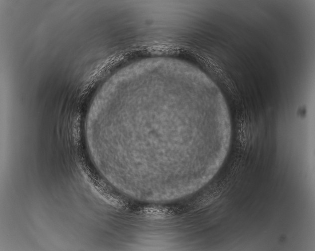 X0000116100690200912140957