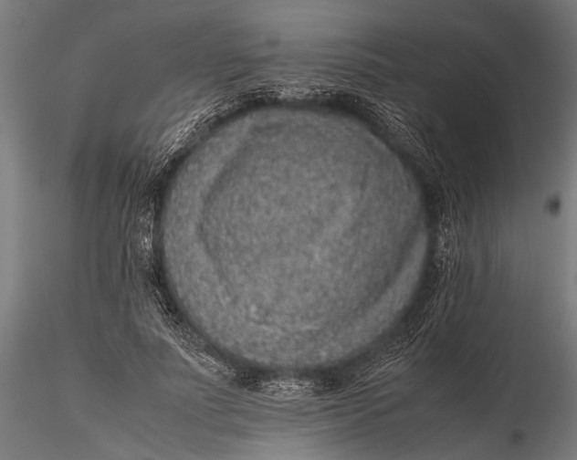 X0000116100691200912140957