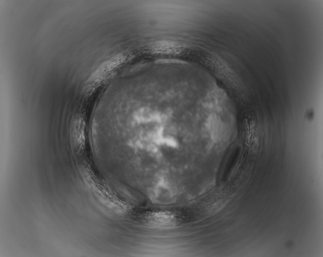 X0000116100692200912140957