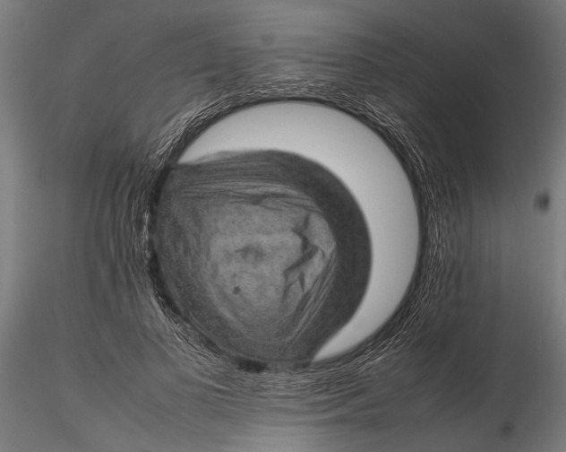 X0000116100693200912140957