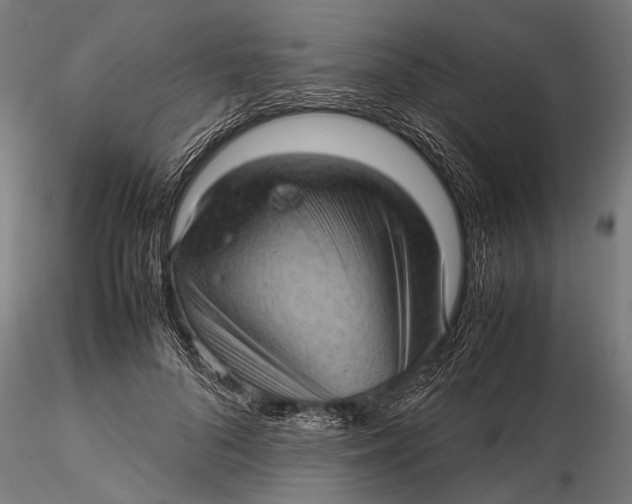 X0000116100696200912140957