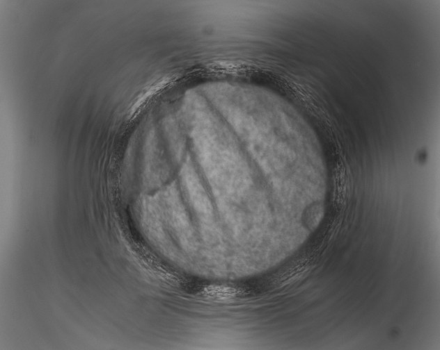 X0000116100699200912140957