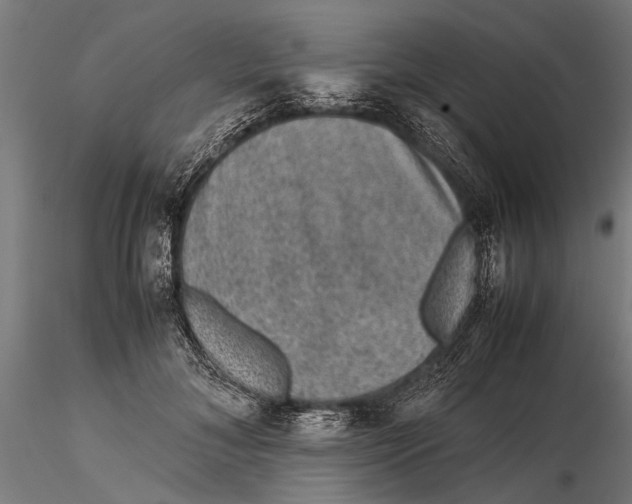 X0000116100700200912140957