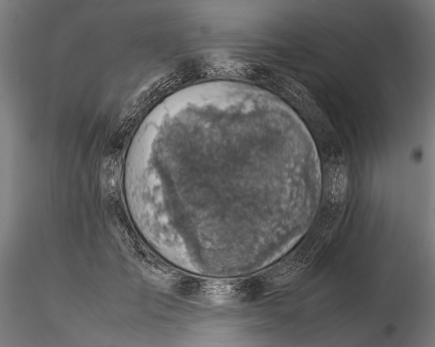 X0000116100701200912140957