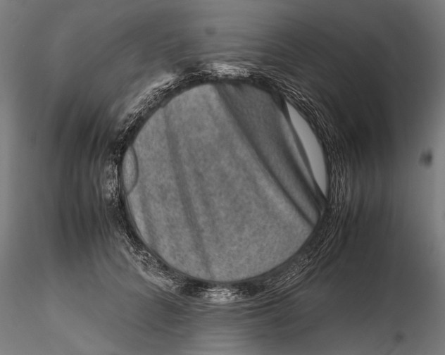 X0000116100704200912140957