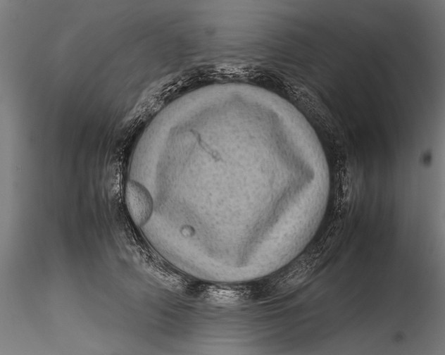 X0000116100706200912140957