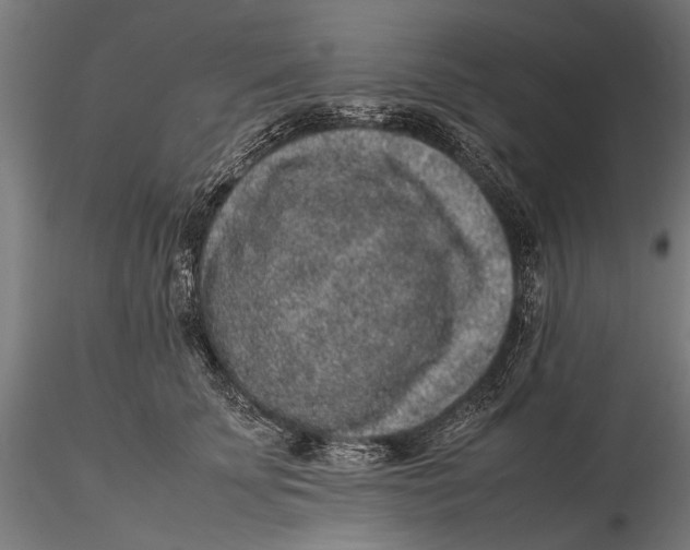 X0000116100707200912140957