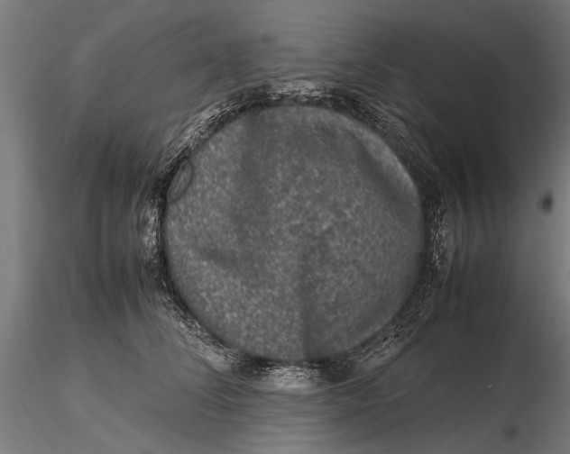 X0000116100708200912140957