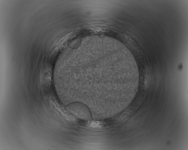 X0000116100710200912140957