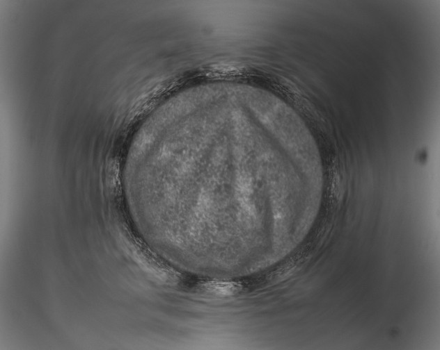 X0000116100711200912140957