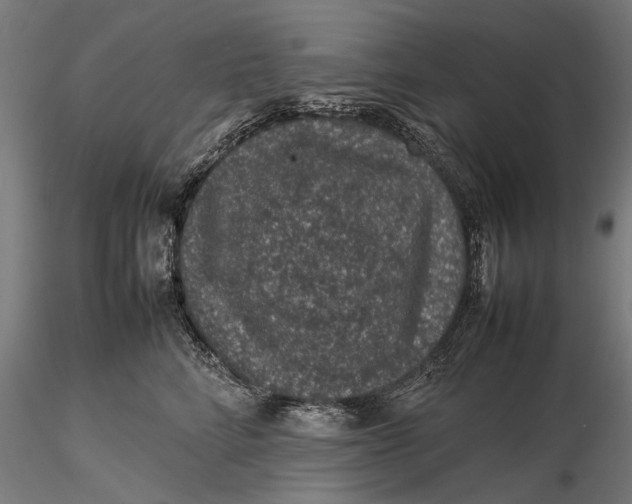 X0000116100712200912140957