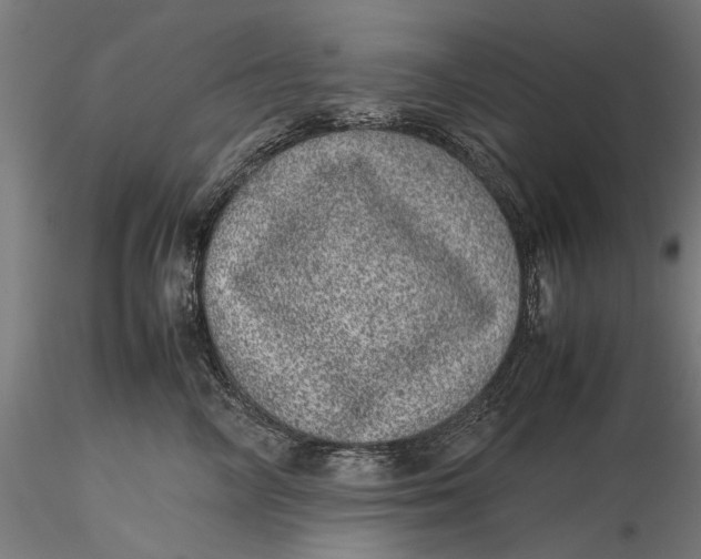 X0000116100714200912140957