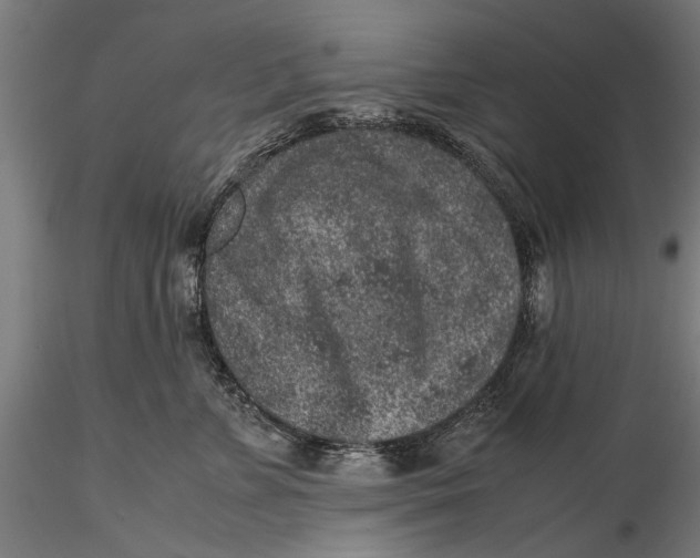 X0000116100715200912140957