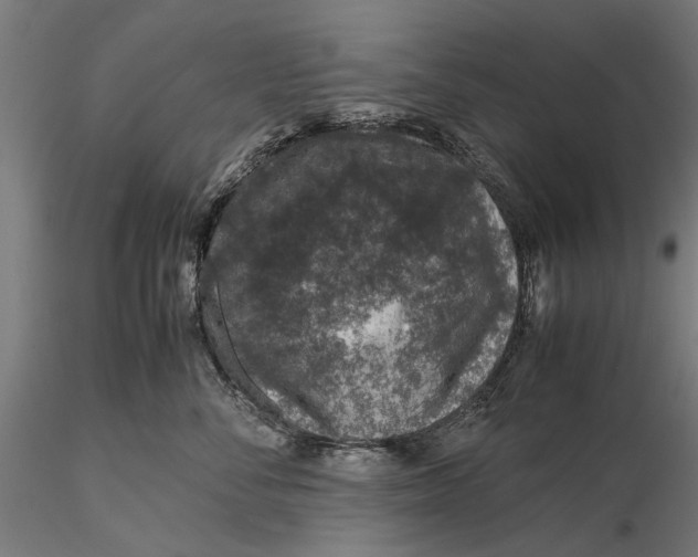 X0000116100716200912140957