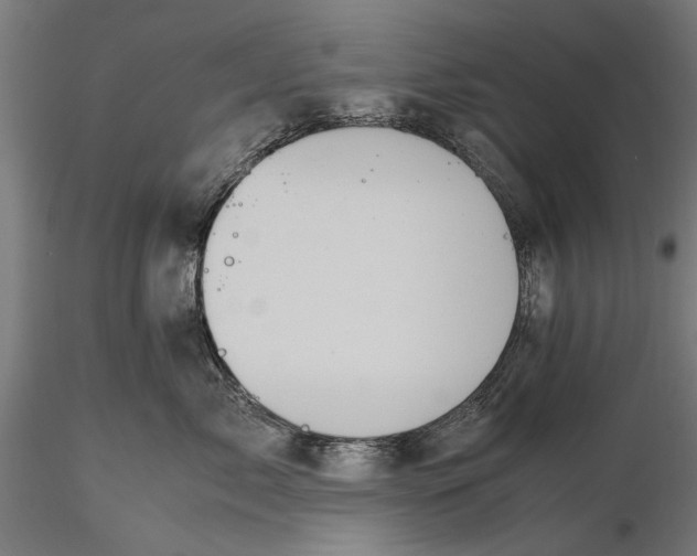 X0000116100717200912140957