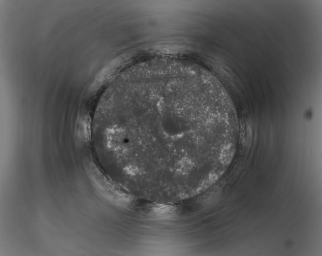 X0000116100718200912140957