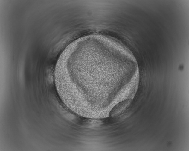 X0000116100719200912140957