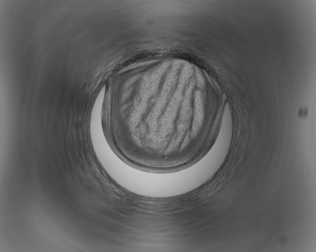 X0000116100720200912140957