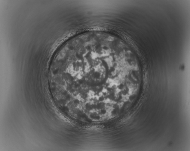 X0000116100721200912140956