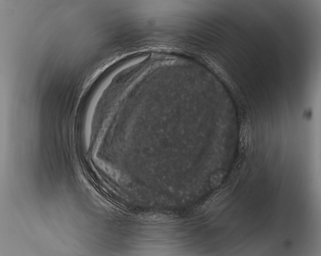 X0000116100722200912140956