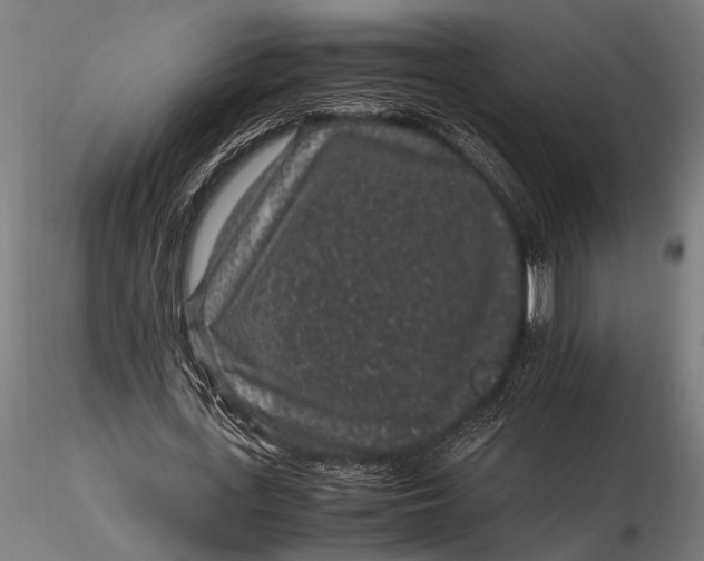 X0000116100723200912140956