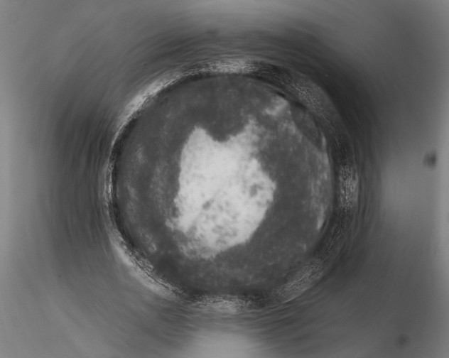 X0000116100726200912140956