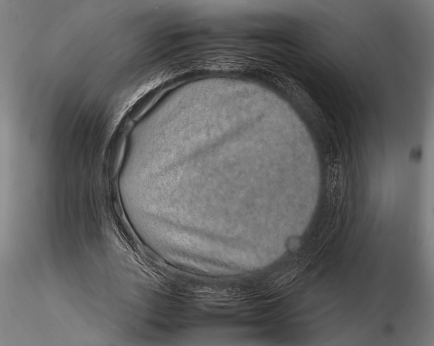 X0000116100727200912140956