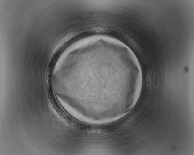 X0000116100730200912140956