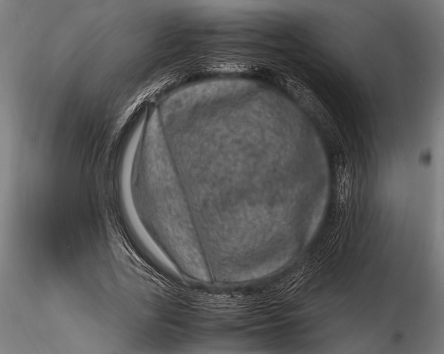 X0000116100731200912140956