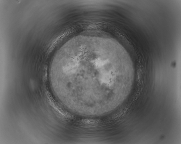 X0000116100733200912140956