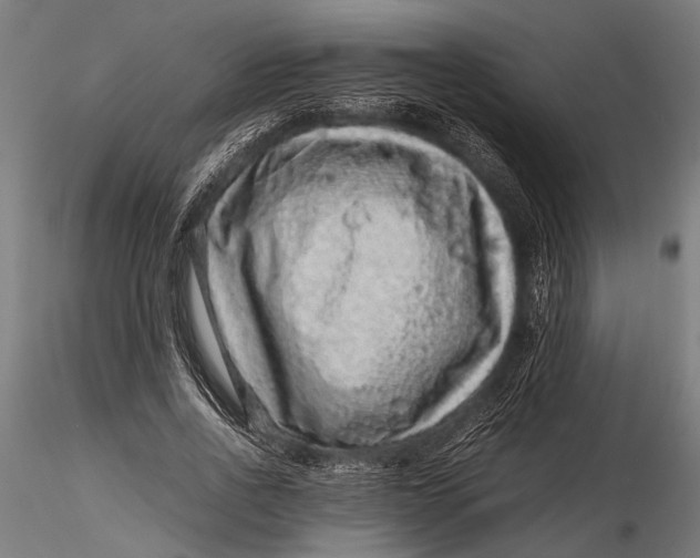 X0000116100734200912140956