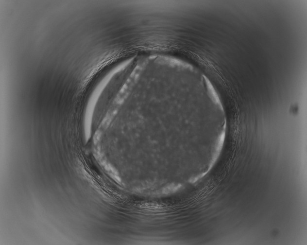 X0000116100735200912140956