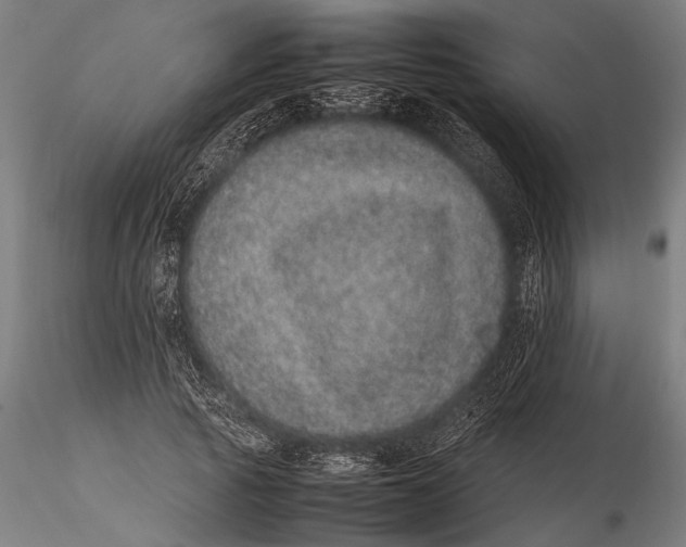 X0000116100737200912140956