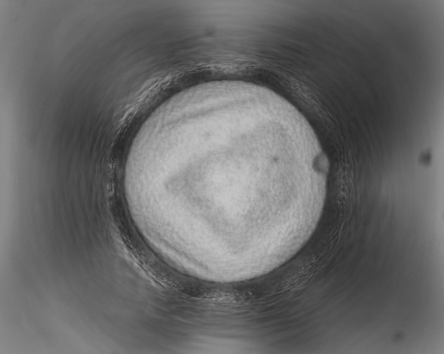 X0000116100738200912140956