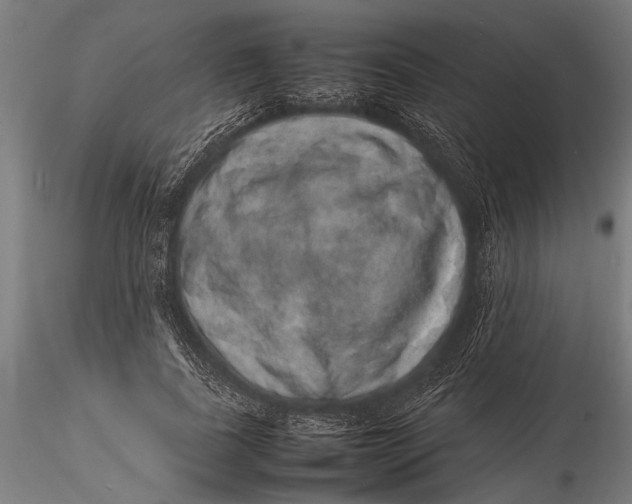 X0000116100739200912140956